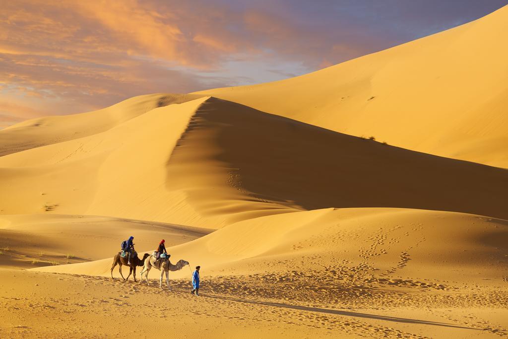 Hotel Camel Trek Bivouac Merzouga Camera foto